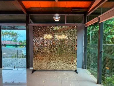 DJ Esteban | Pared Shimmer Wall